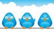 Vector: Blue birds Blue birds