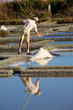 paludier dans les marais salants de guérande paludier dans les marais salants de guérande