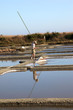 paludier dans les marais salants de guérande paludier dans les marais salants de guérande