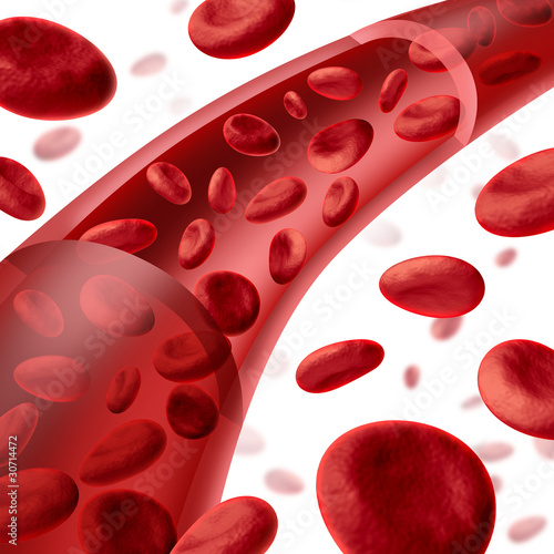 Illustration: Blood cells flowing through veins and artery Blood cells flowing through veins and artery