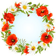 Vector camomile and poppy frame in the shape of circle Vector camomile and poppy frame in the shape of circle