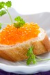 Party snack with red caviar