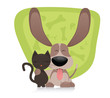 Cat and dog friends