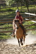 enfant montant à poney-4