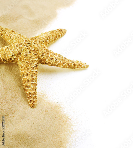 Starfish On The Sand
