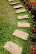 Stone walk way in garden Stone walk way in garden
