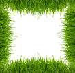Framework from a green grass on a white background