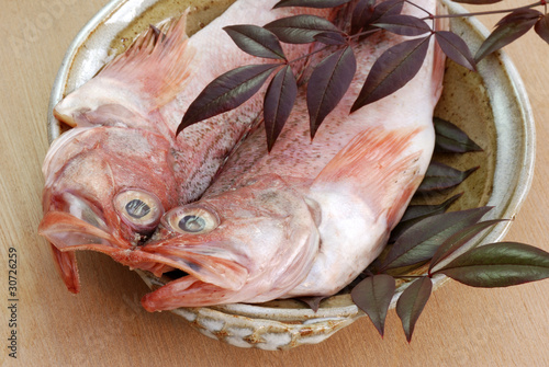 Photo: 干物 干物