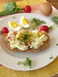 Eiersalat mit Kresse und Radieschen auf Dinkelvollkornbrot