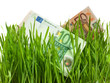 euro euro