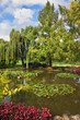 Shallow pond, trees and flowers