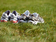 Foto: Two matched pairs of runners in the meadow Two matched pairs of runners in the meadow