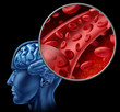 Blood cells in the brain flowing through veins