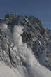 avalanches 7