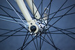 raggi bicicletta