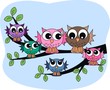 colourful owl family