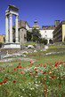 Roma, Teatro di Marcello Marcello ,colonne in stile corinzio,