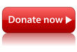 "DONATE NOW" Web Button (charity money give contribute donation)