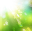 Beautiful Nature Spring Background