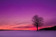 sunset in the field