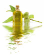 reflections of almond oil