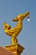 comb duck symbol in Buddhism