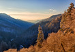 Snow covered trees at sunset in Smoky Mountains