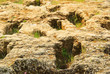 Fuentiduena Friedhof - Fuentiduena cemetery 01
