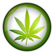 Ganja