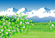 Green field