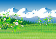 Green field