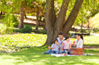Cute family picnicking in the park Cute family picnicking in the park