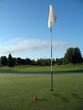 on the green