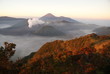 Bromo