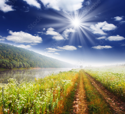 Photo: summer landscape summer landscape