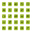 Green Website Buttons