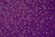 Fond floral mauve. Fond floral mauve.