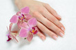 Beautiful hand with perfect nail french manicure and purple orch