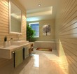 rendering bathroom rendering bathroom