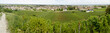landscape in burgundy