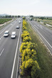 Photo: Vista de una carretera con trafico de vehiculos Vista de una carretera con trafico de vehiculos