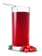 Cranberry juice isolated on white Cranberry juice isolated on white