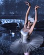 Swan Lake - Odette and Swans Swan Lake - Odette and Swans