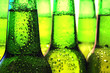Row of beer bottles Row of beer bottles