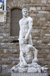 Hercules and Caco in Florence Hercules and Caco in Florence