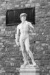 Michelangelo's David Michelangelo's David