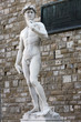 Michelangelo's David Michelangelo's David