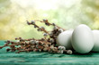 White eggs and catkin