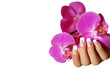Hand mit Orchidee