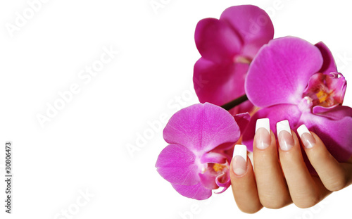 Foto: Hand mit Orchidee Hand mit Orchidee